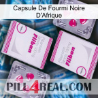Africa Black Ant Capsule 33